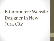 E Commerce Website Designer in New York City