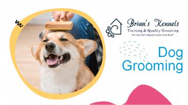 Dog Grooming Quincy - Brian's Kennels (1)