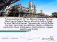 Petrochemicals Market Industry Outlook, Market Dynamics and Forecast 2020 PowerPoint PPT Presentation