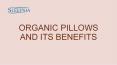 Organic Pillow and Its Benefits