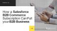 How a Salesforce B2B Commerce Subscription Can Pull your B2B Business PowerPoint PPT Presentation
