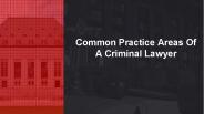 Common Practice Areas Of A Criminal Lawyer
