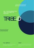 Tribe-D PowerPoint PPT Presentation