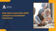 Why Goosehead Insurance Franchise?