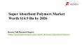 Super Absorbent Polymers Market - Segment Analysis, Opportunity Assessment, Competitive Intelligence, Industry Outlook PowerPoint PPT Presentation