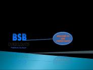 bsbconsultantss