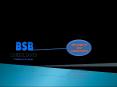 bsbconsultantss (2) PowerPoint PPT Presentation
