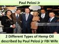 2 Different Types of Hemp Oil described by Paul Pelosi jr FBI Wife PowerPoint PPT Presentation