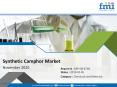 Synthetic Camphor Market Application, Innovations, Geography and Global Forecast 2020 PowerPoint PPT Presentation