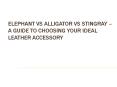 Elephant vs Alligator vs Stingray – A Guide PowerPoint PPT Presentation