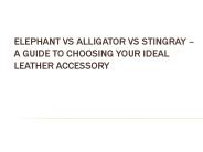 Elephant vs Alligator vs Stingray – A Guide