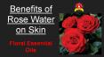 Rose Water Benefits on Skin- Floral Essential Oils PowerPoint PPT Presentation