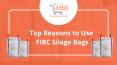 Top Reasons to Use FIBC Silage Bags | Jumbobagshop PowerPoint PPT Presentation