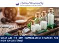 What Are the Best Homeopathic Remedies for High Cholesterol? PowerPoint PPT Presentation