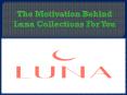 The Motivation Behind Luna Collections For You PowerPoint PPT Presentation
