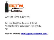 Pest Control Near Jersey City, Nj