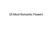 10 Most Romantic Flowers