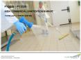 India Commercial Sanitization Market  Share & Size, 2025