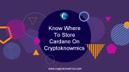 Know Where To Store Cardano On Cryptoknowmics