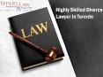 Highly Skilled Divorce Lawyer In Toronto PowerPoint PPT Presentation