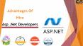 Advantages Of Hire .Net Developers PowerPoint PPT Presentation