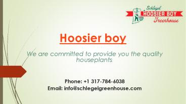 Online Plant Store Indianapolis, Indiana