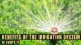Irrigation repairing services in Tampa FL PowerPoint PPT Presentation