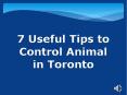 7 Useful Tips to Control Animal in Toronto PowerPoint PPT Presentation