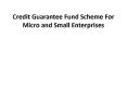 Credit Guarantee Fund Scheme for Micro and Small Enterprises PowerPoint PPT Presentation