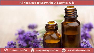 All You Need to Know About Essential Oils