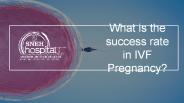What is the success rate in IVF Pregnancy?