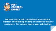 Affordable Pest Control Services - Pest Control Expert