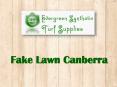 What is Fake Lawn Canberra PowerPoint PPT Presentation