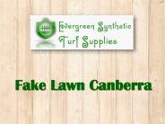 What is Fake Lawn Canberra