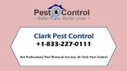 Clark Pest Control provides eco-friendly services (1)