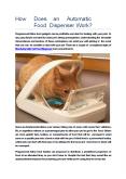 How Does an Automatic Food Dispenser Work? PowerPoint PPT Presentation