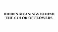 HIDDEN MEANINGS BEHIND THE COLOR OF FLOWERS PowerPoint PPT Presentation