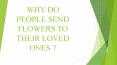 WHY DO  PEOPLE SEND  FLOWERS TO  THEIR LOVED  ONES PowerPoint PPT Presentation