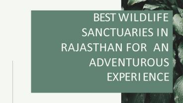 BEST WILDLIFE SANCTUARIES IN RAJASTHAN FOR AN ADVENTUROUS EXPERIENCE