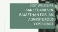 BEST WILDLIFE SANCTUARIES IN RAJASTHAN FOR AN ADVENTUROUS EXPERIENCE