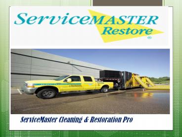 The Decision That Families Take Without Any Cat fight