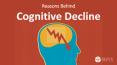 Reasons Behind Cognitive Decline PowerPoint PPT Presentation