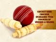 We Also Offer Sites That Feature Online Cricket Betting PowerPoint PPT Presentation