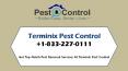 Get Top-Notch Services With Terminix Pest Control PowerPoint PPT Presentation