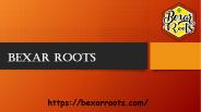 Bexarroots (1)