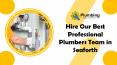 Hire Our Best Professional Plumbers Team in Seaforth PowerPoint PPT Presentation