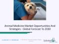 Animal Medicine Market Growth Strategies Adopted By Top Key Players Worldwide PowerPoint PPT Presentation
