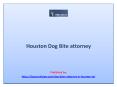 Houston Dog Bite attorney PowerPoint PPT Presentation
