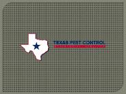 Pest Control San Antonio - Satxpest (1)