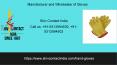Manufacturer and Wholesaler of Gloves